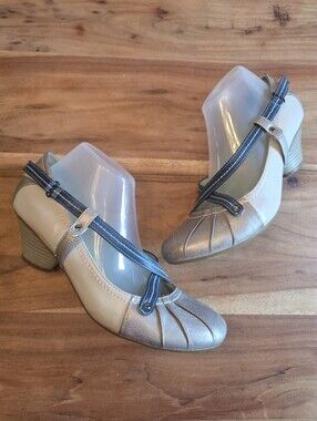 Alberto Two-Tone Metallic Block Heel Mary Jane Blue and Silver Gray, Size 40
